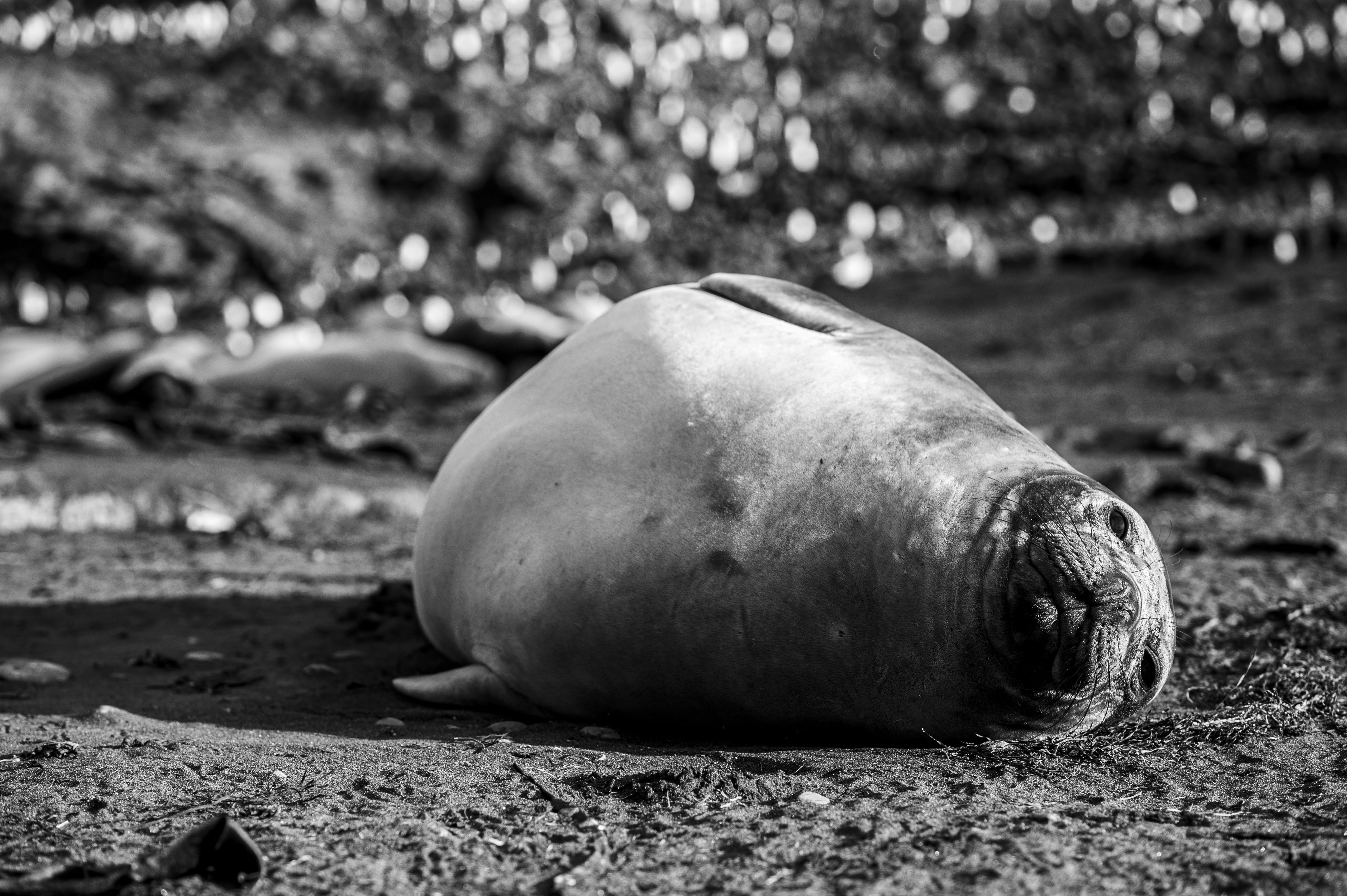 GYT 20220701 135003  DSC6280